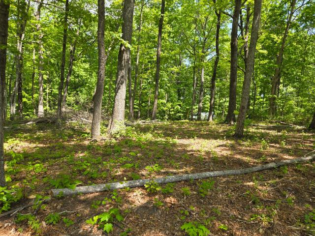 Land for sale in Tennessee
