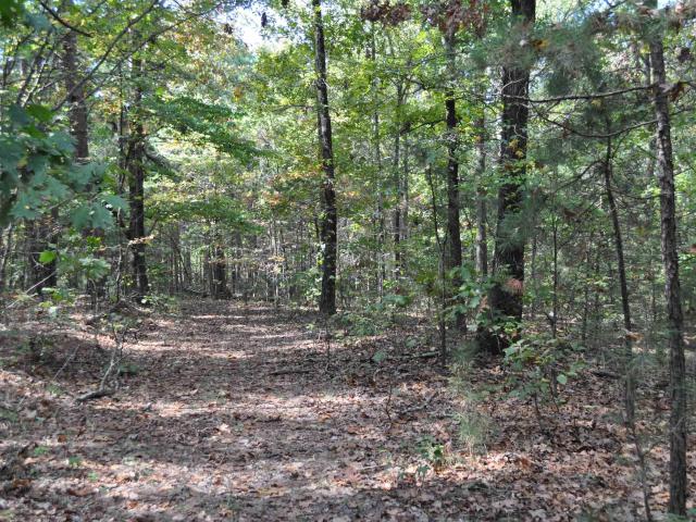 Land for sale in Van Buren County, Arkansas