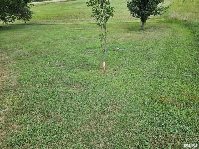 Land for sale in West Frankfort, Illinois