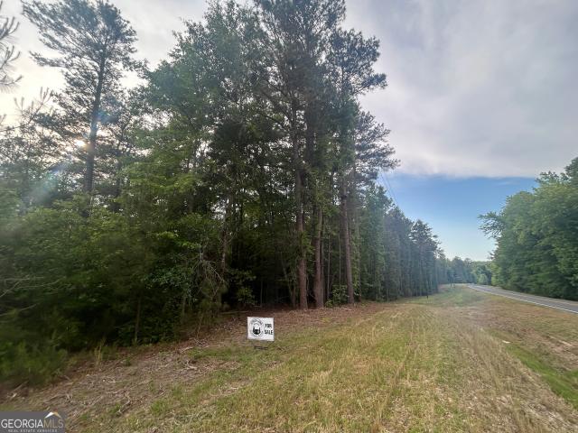 Land for sale in Crawfordville, Georgia
