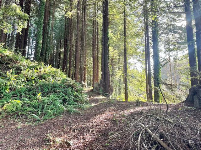 Property for sale in Humboldt, California