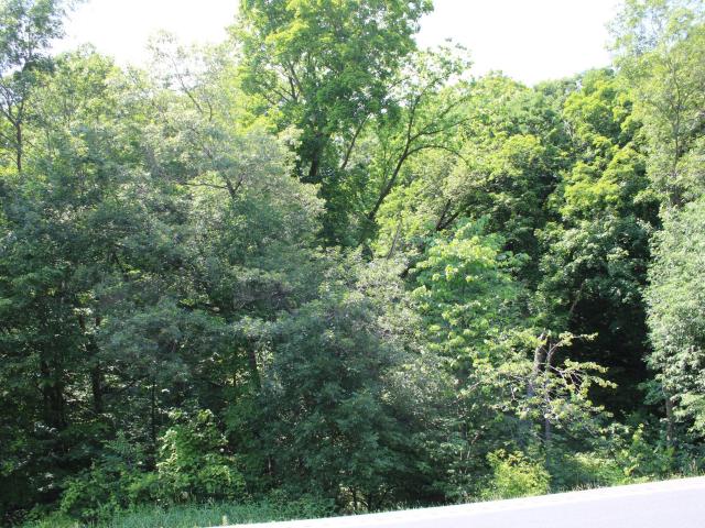 Land for sale in Taylors Falls, Minnesota