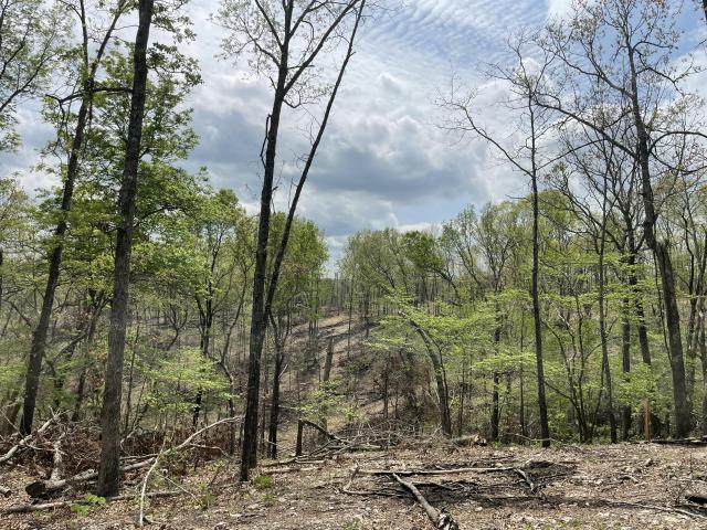 Land for sale in Ava, Missouri