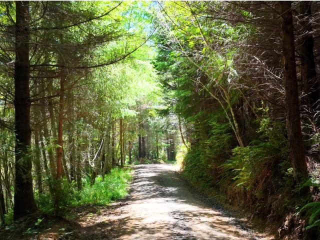 Land for sale in Oregonia