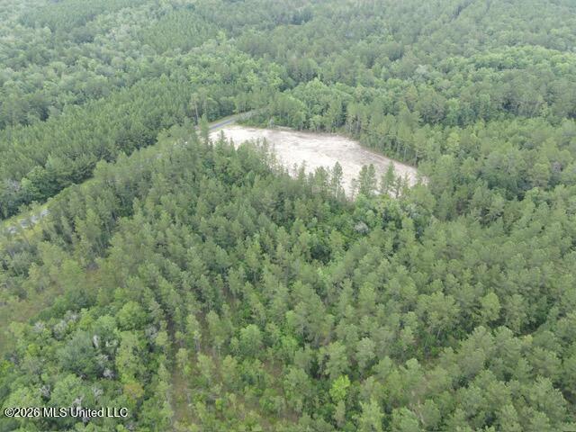 Land for sale in Poplarville, Mississippi