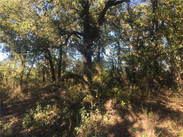 Land for sale in Saint Jo, Texas