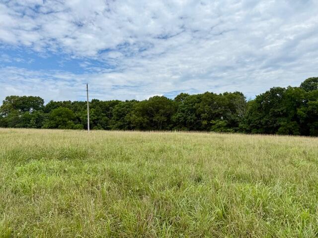 Land for sale in Ava, Missouri