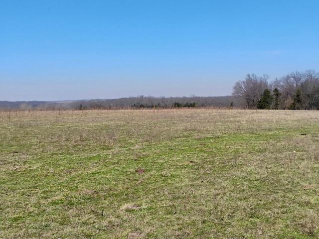 Land for sale in Hickory, Missouri