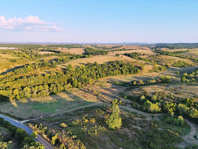 Land for sale in Golden City, Barry County