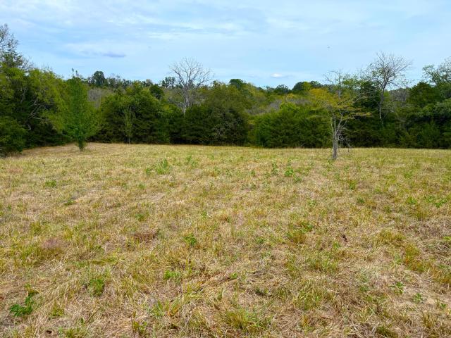 Land for sale in Bates Corner, Barry County
