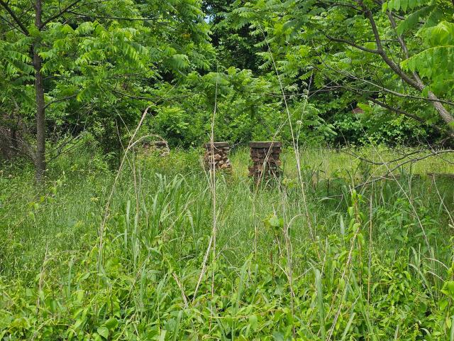 Land for sale in Everton, Missouri