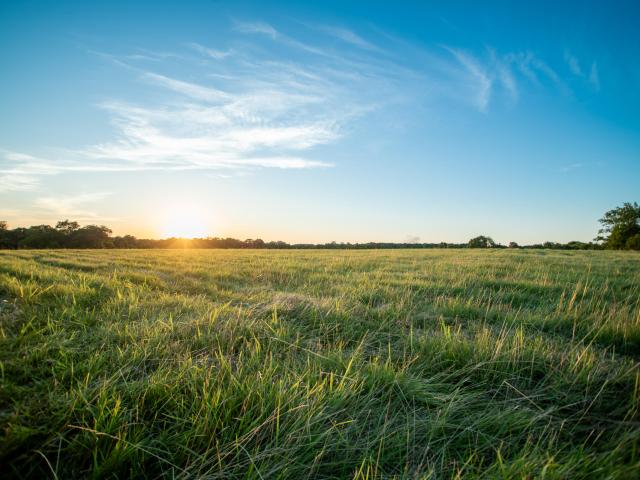Land for sale in Highlandville, Missouri