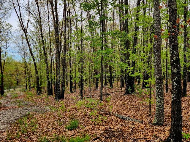 Land for sale in Missouri