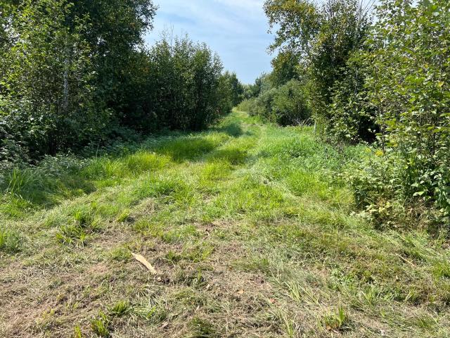Land for sale in Minnesota