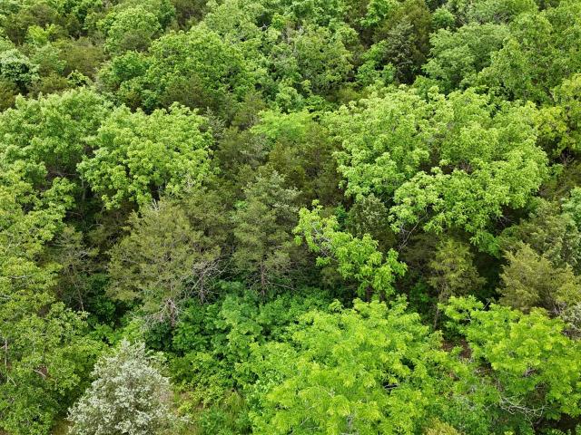 Land for sale in Barry, Missouri