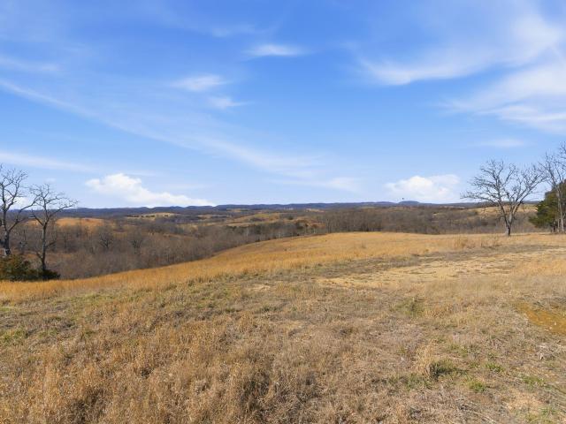 Land for sale in Thornfield, Missouri