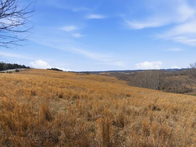 Property for sale in Thornfield, Missouri