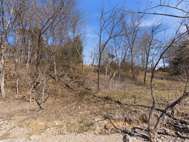 Land for sale in Thornfield, Missouri