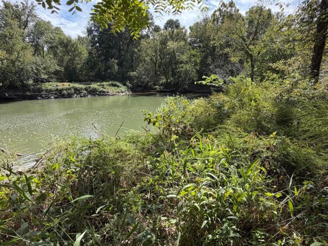 Farm for sale in Bardwell, Graves County
