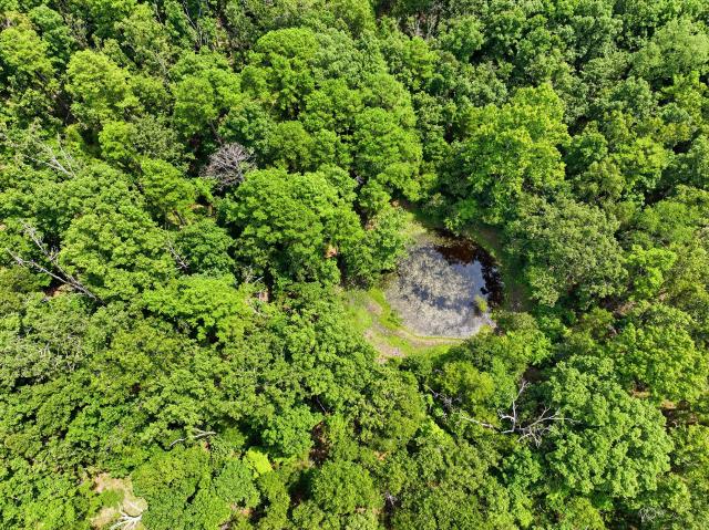 Land for sale in Cabool, Missouri