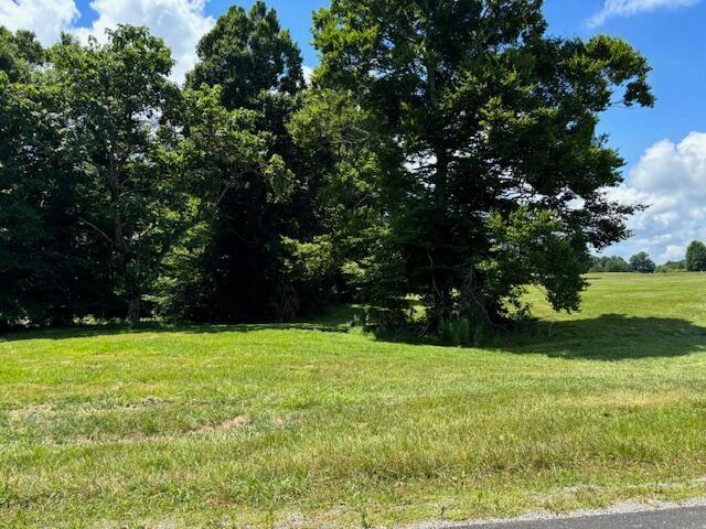 Land for sale in Russell Springs, Russell County