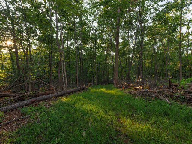 Land for sale in Virginia