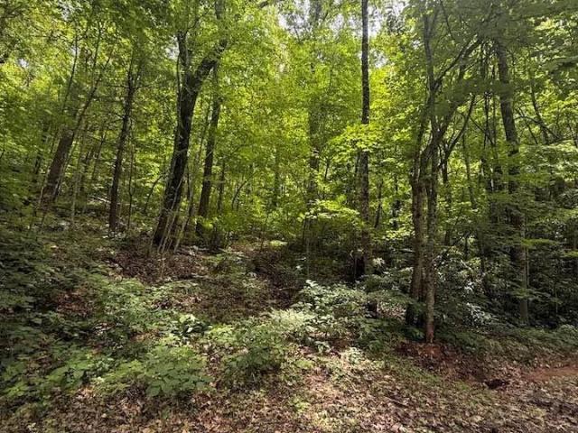 Land for sale in Tryon, North Carolina