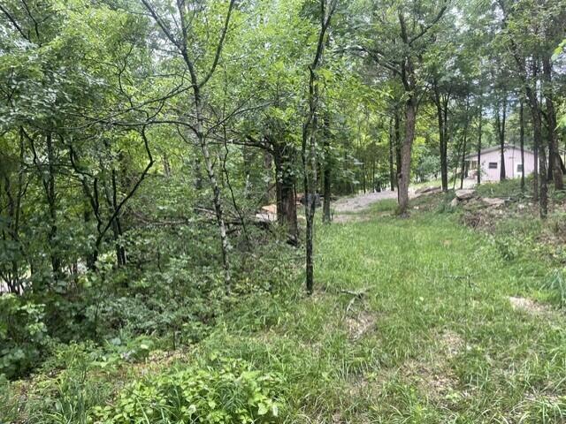 Land for sale in Kimberling City, Stone County