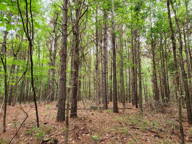 Land for sale in Ark