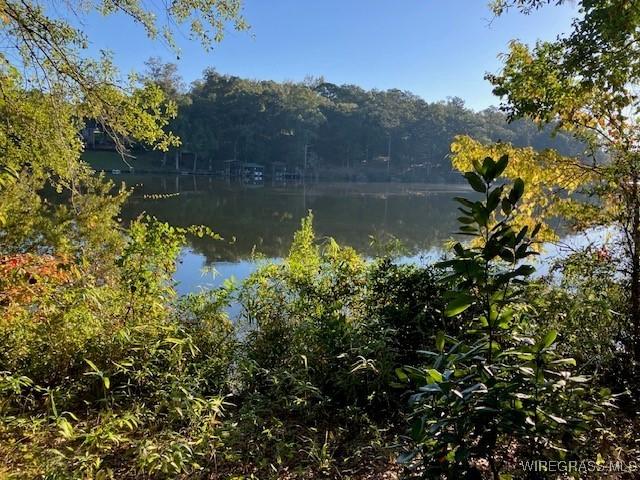 Land for sale in Alabama