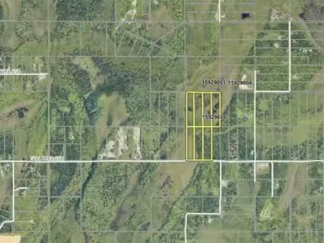 House for sale in Homer