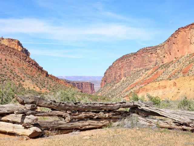 Land for sale in Colorado