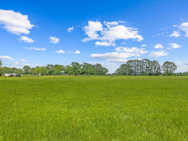 Land for sale in Doucette, Texas