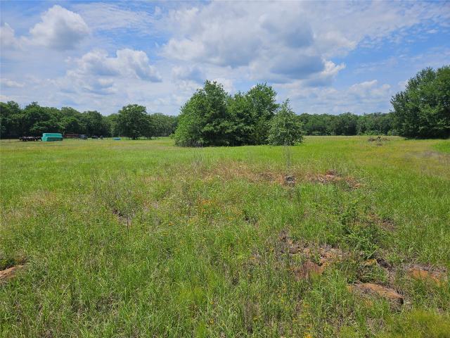 Land for sale in Milam, Texas