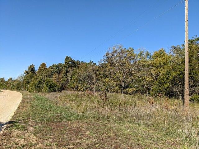 Land for sale in Seymour, Missouri