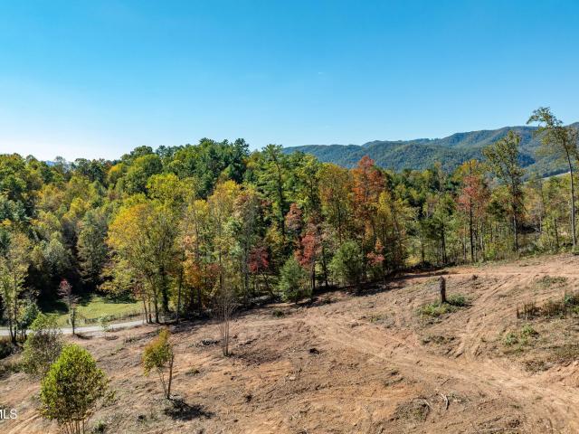 Land for sale in Tennessee