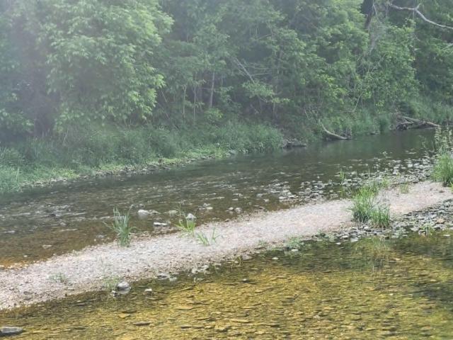 Land for sale in Ava, Missouri