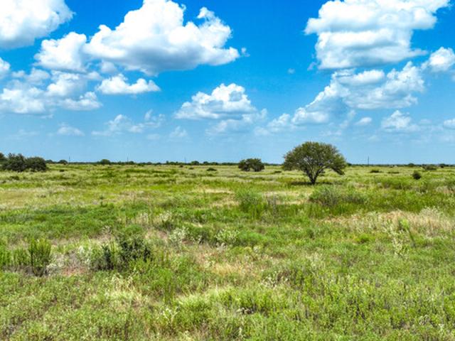 Land for sale in Columbus, Colorado County