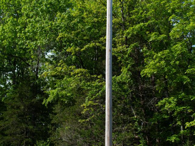 Land for sale in Stone, Missouri