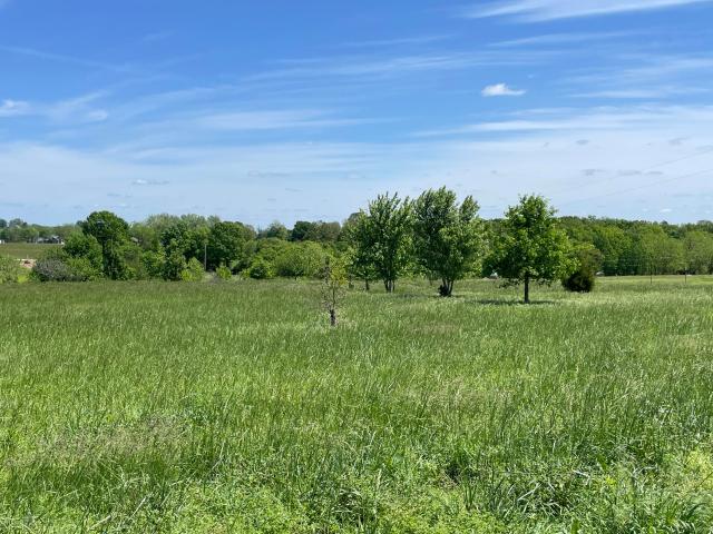 Land for sale in Republic, Missouri