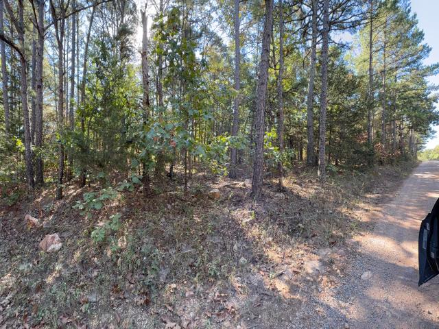 Land for sale in Licking, Texas County