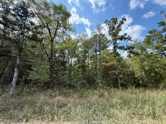 Land for sale in Licking, Texas County