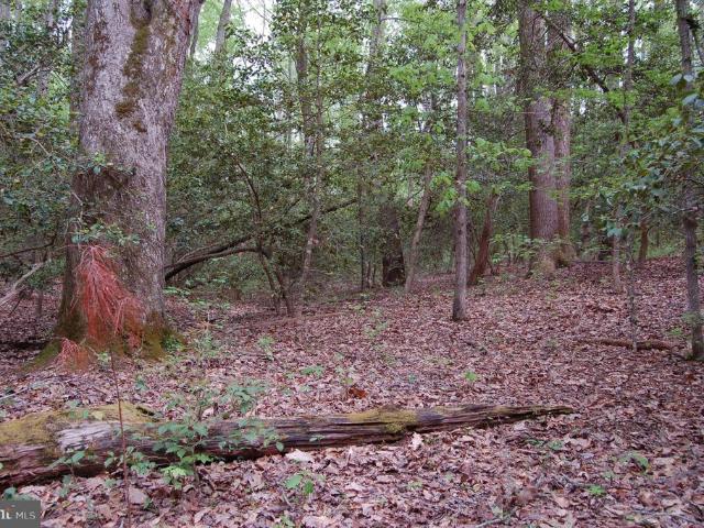 Land for sale in Virginia