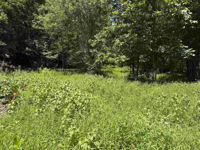 Land for sale in Mountain View, Stone County