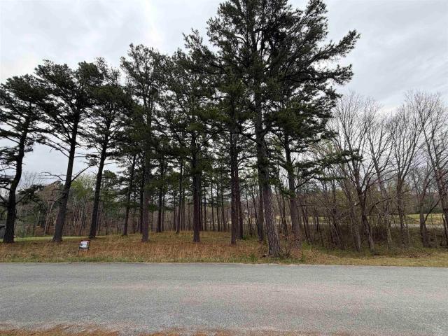Land for sale in Ark