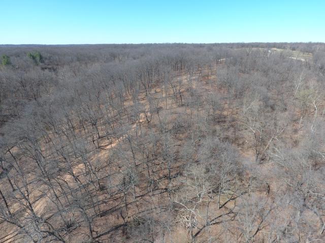 Land for sale in Goodman, McDonald County