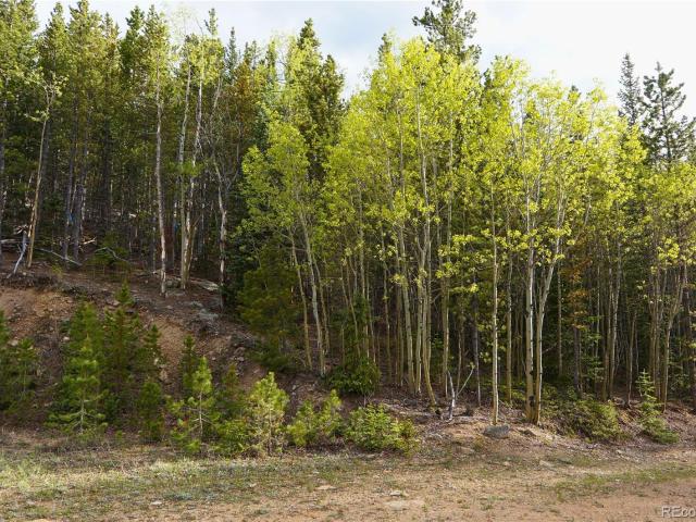 Land for sale in Freeland, Idaho Springs