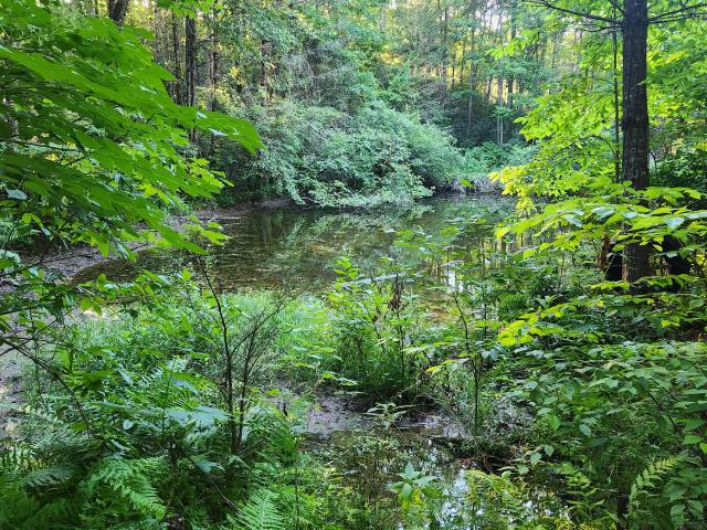 Land for sale in Copperhill