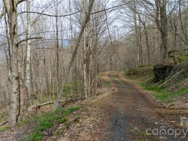 Land for sale in Bakersville, North Carolina
