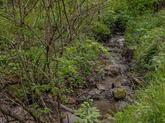 Land for sale in Bryson City, North Carolina